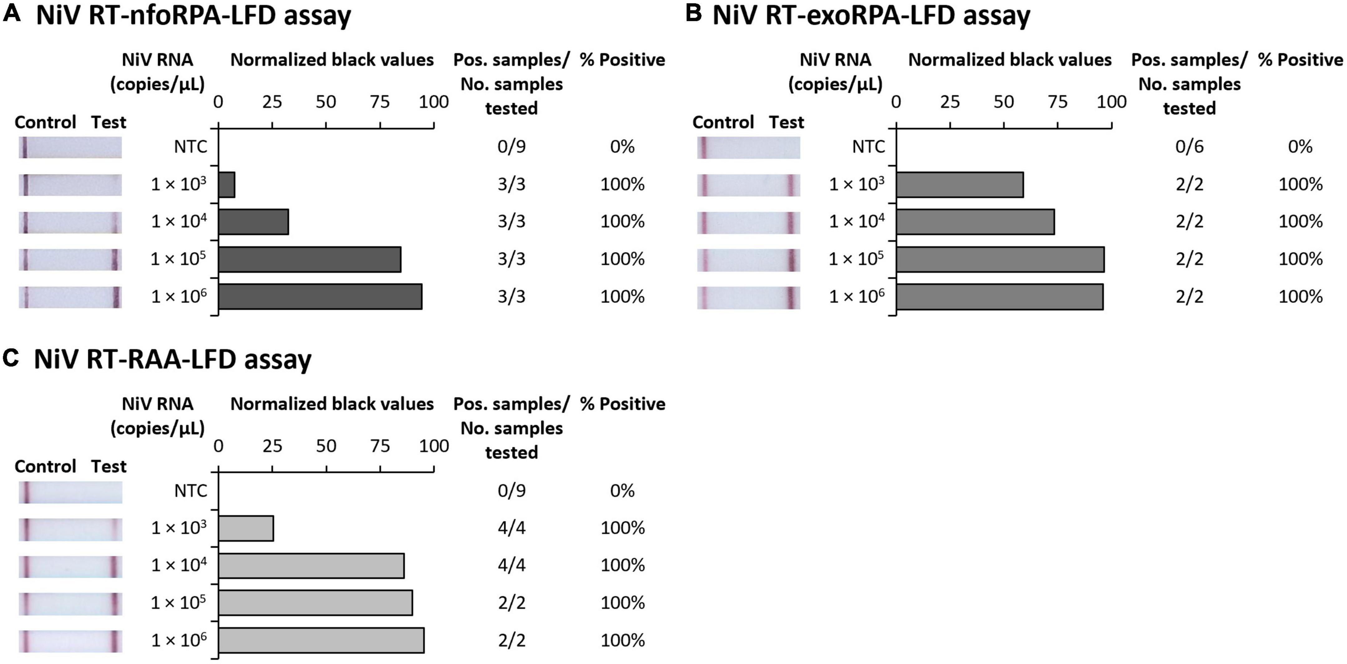 Evaluation of three rapid low-resource molecular tests for Nipah virus